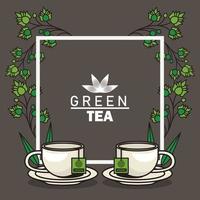 affiche de lettrage de thé vert avec tasses à thé et feuilles dans un cadre carré vecteur