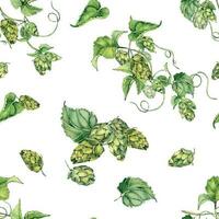 saut vigne, plante humulus aquarelle sans couture modèle isolé sur blanc Contexte. saut sur brunch avec feuilles, saut cônes main dessiné. conception élément pour emballage, étiqueter, emballage, papier, textile vecteur