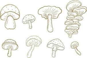 ensemble de champignons illustration vecteur