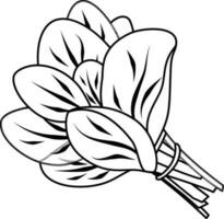 vecteur linéaire icône épinard, bouquet de épinard, légumes verts et légumes, épices et herbes, vitamine un, griffonnage et esquisser