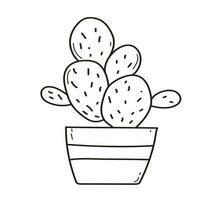 cactus dans le marmites. main tiré griffonnage contour vecteur illustration.