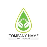 logo vectoriel eco energy avec symbole de feuille. couleur verte avec graphique flash ou tonnerre. nature et électricité renouvelable. ce logo convient à la technologie, au recyclage, au bio.