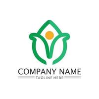 logo vectoriel eco energy avec symbole de feuille. couleur verte avec graphique flash ou tonnerre. nature et électricité renouvelable. ce logo convient à la technologie, au recyclage, au bio.