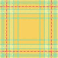 vérifier sans couture tartan de en tissu textile plaid avec une vecteur texture Contexte modèle.