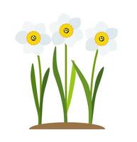 illustration vectorielle de printemps narcisse fleurs fond