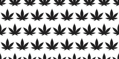 marijuana sans couture modèle cannabis vecteur cannabis feuille écharpe isolé tuile Contexte répéter fond d'écran illustration