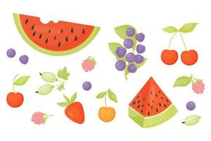 collection été baies. forêt myrtilles et framboises, jardin cerises et des fraises, groseilles à maquereau et pastèque. vecteur illustration dans dessin animé style. isolé des fruits sur blanc Contexte.