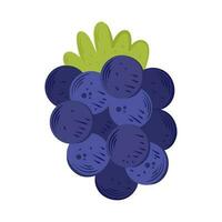 mûr les raisins des fruits icône isolé vecteur