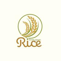 riz paddy premium produit naturel biologique bannière logo vector design