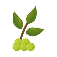 raisins fruits avec dessin vectoriel de feuilles