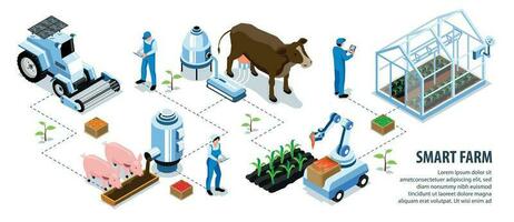 isométrique intelligent ferme infographie vecteur