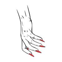 longue rouge ongles main tiré geste esquisser vecteur illustration ligne art