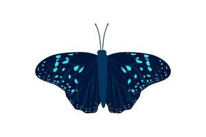 papillon bleu aile insecte illustration vecteur