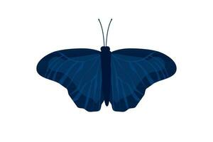 papillon bleu aile insecte illustration vecteur