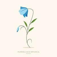bleu fleur et feuille botanique illustration. vecteur