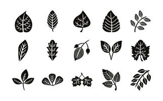 lot de quinze icônes de style silhouette feuilles automne vecteur