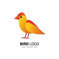 Facile oiseau aile conception logo, ailes insignes. collection ailes insignes. vecteur illustration, des oiseaux logo