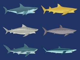 attaque les requins plat ensemble vecteur