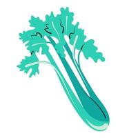 céleri juteux isolé illustration vectorielle ferme verts vecteur