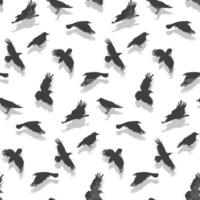 vecteur sans couture modèle avec en volant gris corbeaux avec une ombre sur une blanc Contexte. mystique Contexte avec des oiseaux dans le Halloween thème. gris nuances de des oiseaux, pour impression sur textiles et papier