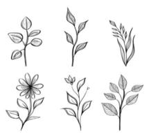 lot de six fleurs dessinant des icônes de l'écologie de la nature vecteur