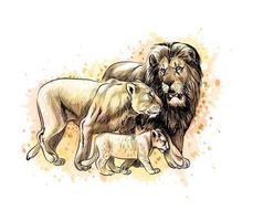 famille de lions d & # 39; une éclaboussure d & # 39; illustration vectorielle de croquis dessinés à la main aquarelle de peintures vecteur