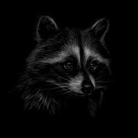 portrait d & # 39; un raton laveur mignon sur une illustration vectorielle de fond noir vecteur