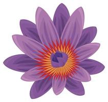 fleur tropicale violette vecteur