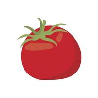 icône saine de légumes tomates fraîches vecteur