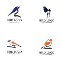 modèle de conception icône oiseau logo vector