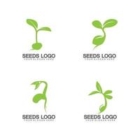 modèle de concept de logo de graines de plantes vecteur