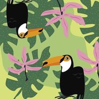 toucans et feuilles vecteur