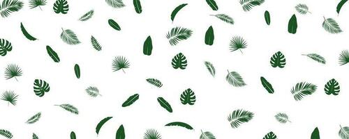 sans couture tropical modèle avec exotique feuilles et les plantes jungle vecteur sur blanc Contexte