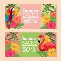 soldes d'été troical avec macow et flamingo vecteur