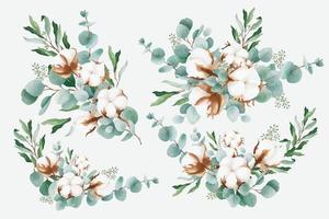 bouquets d'aquarelle avec du coton et des branches d'eucalyptus vecteur