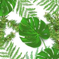 groupe de feuilles de plantes de forêts tropicales monstera fougère feuille de pin situé en arrière-plan peut être utilisé pour les cartes de voeux flyers invitations conception de sites Web à tout vecteur