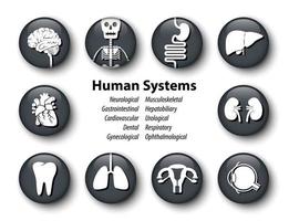 ensemble, de, systèmes humains, icône, rond, verre, couverture, conception, vecteur