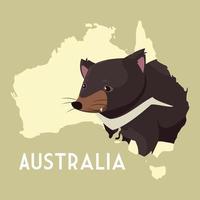 Diable de Tasmanie continent australien carte des animaux faune vecteur