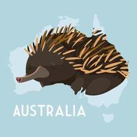 hérisson carte du continent australien animal faune vecteur