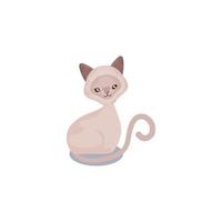 animal de compagnie moelleux chat animal domestique fond blanc vecteur