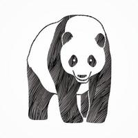 vecteur de dessin animé de panda