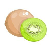 kiwi groseille chinoise vecteur