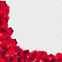 illustration vectorielle réaliste de pétales de roses naturelles abstraites vecteur