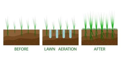 aération de la pelouse aérer de l'herbe vecteur