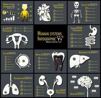 ensemble de systèmes humains infographie cardiovasculaire squelettique reproducteur gastro-intestinal œil dentaire hépatobiliaire respiratoire génito-urinaire neurologique vecteur