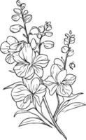 petit minimaliste larkspur tatouage, crayon delphinium dessin, contour larkspur fleur dessin, larkspur ligne dessin, fleur tatouage conceptions, fleur coloration pages, préscolaire fleurs coloration pages vecteur