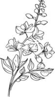 main tiré petit minimaliste larkspur tatouage, crayon delphinium dessin, contour larkspur fleur dessin, larkspur ligne dessin, tatouage delphinium fleur dessin, delphinium tatouage noir et blanche. vecteur