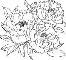 pivoine fleur dessin, vecteur esquisser main a dessiné illustration artistique, simplicité, coloration pages, imprimable pivoine fleur coloration pages, fleur coloration feuille, isolé sur blanc Contexte.