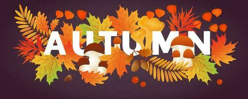 Bonjour l'automne. l'automne feuilles avec champignons, cèpe, physalis. vente bannières, carte postale, affiche. vecteur