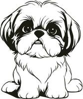 mignonne shih tzu chien silhouette, marrant peu chienchien vecteur